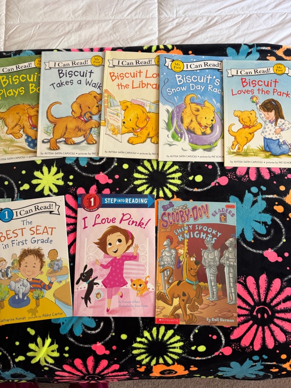 Fancy Nancy book bundle - Picture 4 of 4